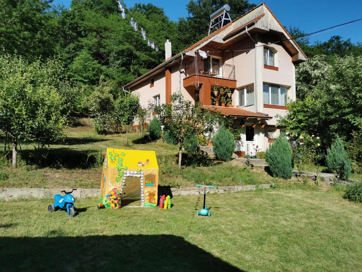 Casa Noastra Hotel Orşova Eksteriør billede
